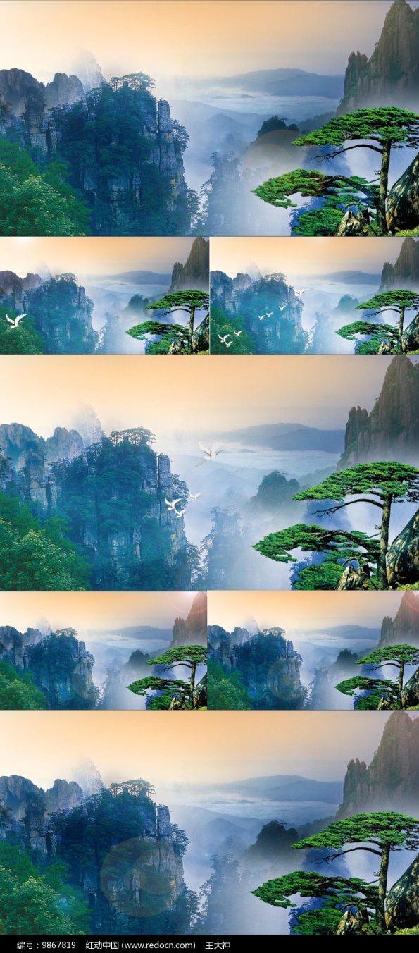 救援萌老虎